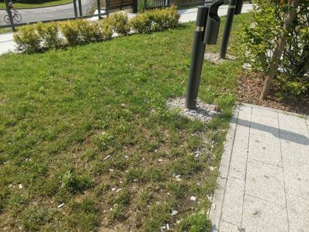 content_cigaretni ogorki